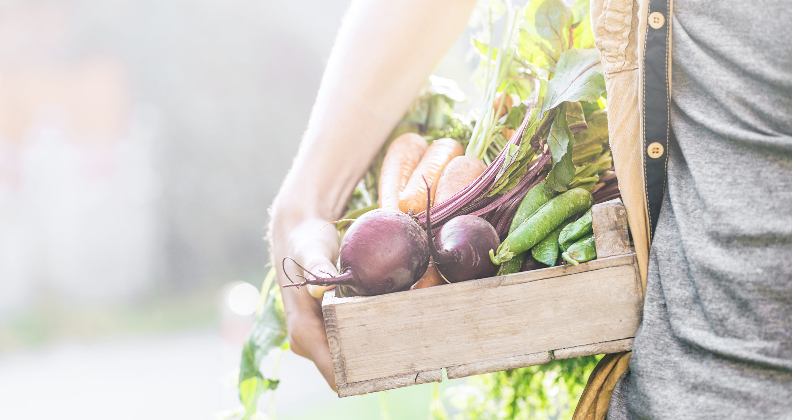 vegetables in a crate