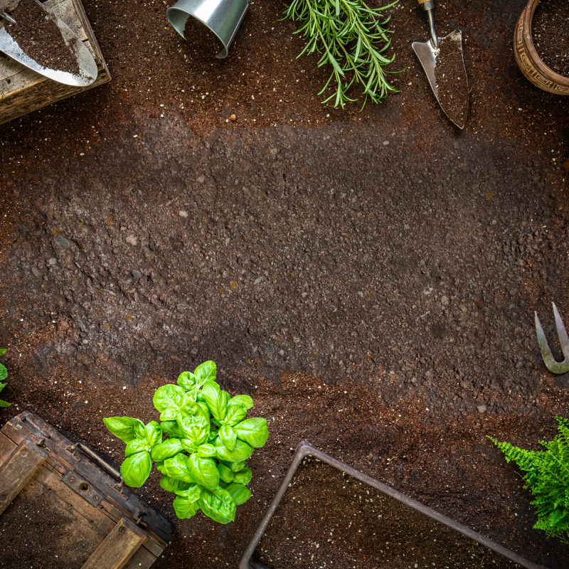 gardening tools and supplies