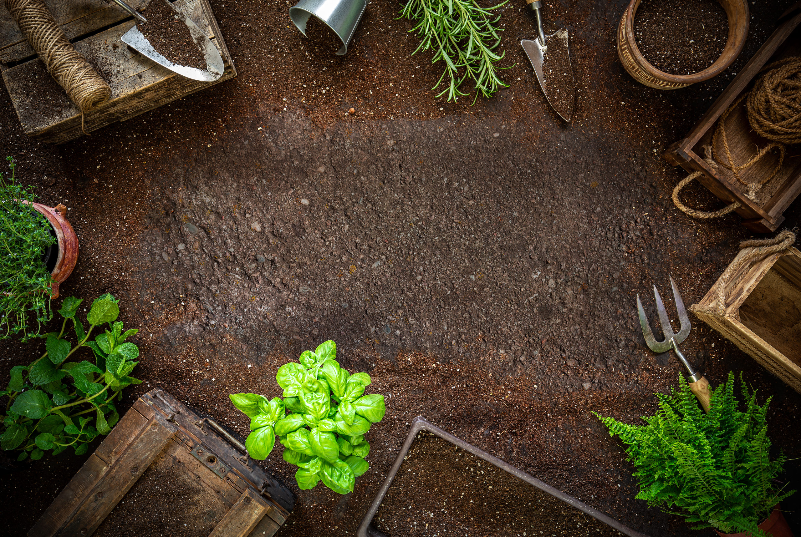 Vermicomposting